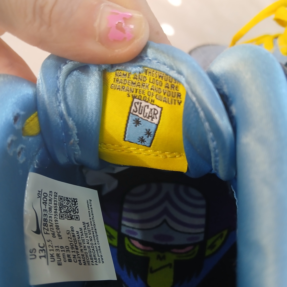 Nike SB Powerpuff Girls Bubbles Blue Dunks Kids Size 13c - Picture 11 of 16
